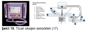 Figure 19