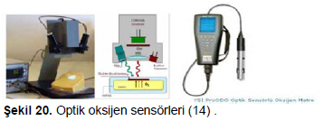 Figure 20