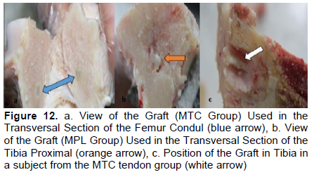 Figure 12