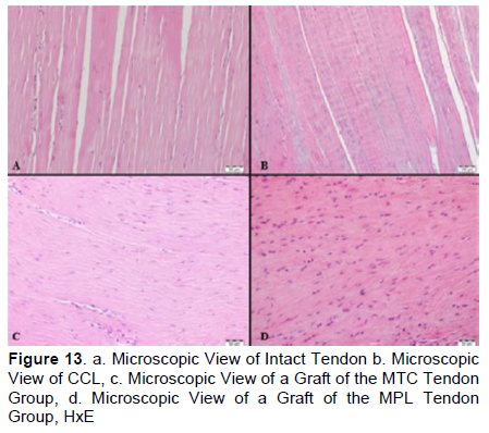 Figure 13