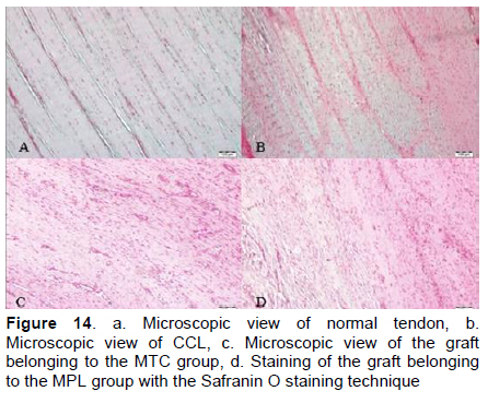 Figure 14