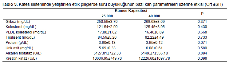 Table 3