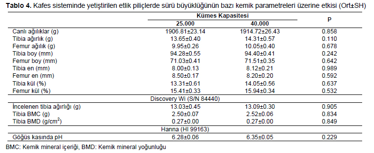 Table 4
