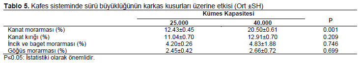Table 5