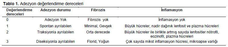 Table 1