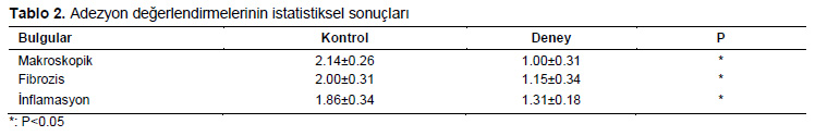 Table 2