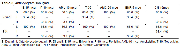 Table 6