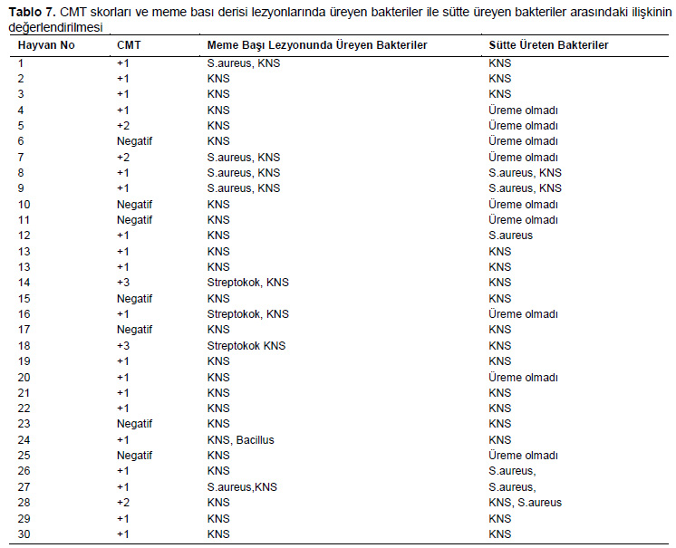 Table 7