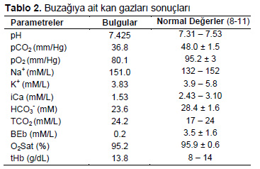 Table 2