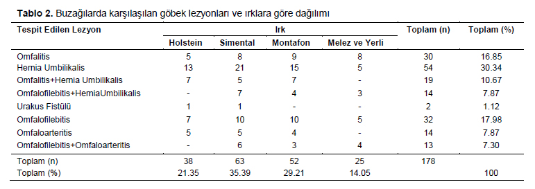 Table 2