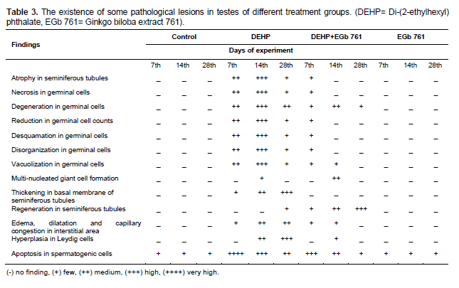 Table 3