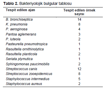 Table 2