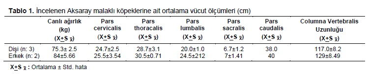 Table 1