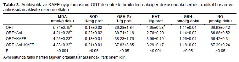 Table 3