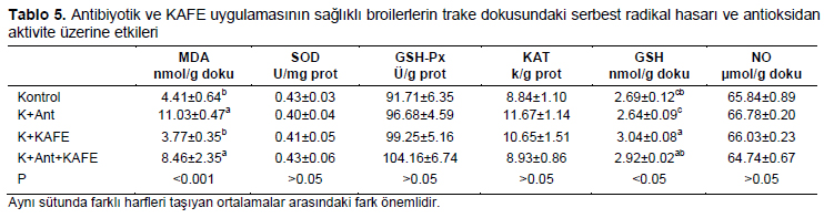 Table 5