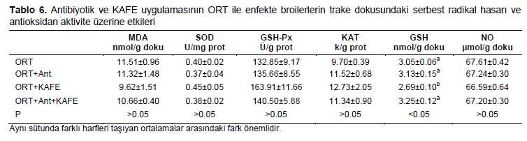 Table 6