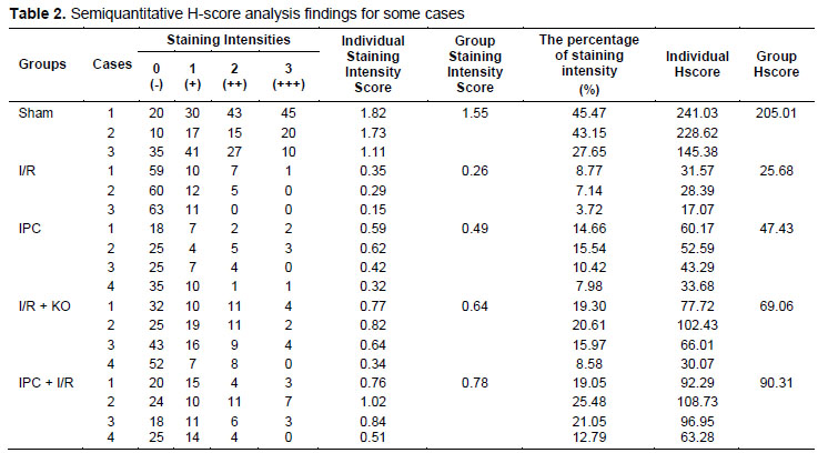 Table 2