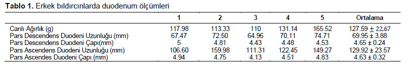 Table 1