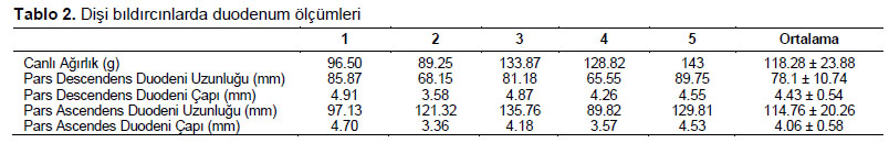 Table 2