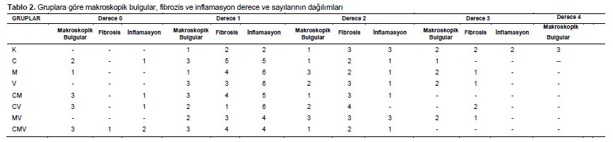Table 2