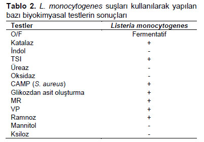 Table 2