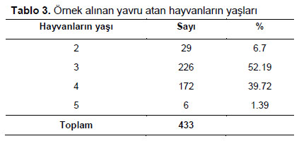 Table 3
