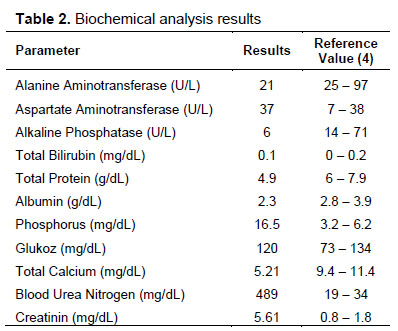 Table 2