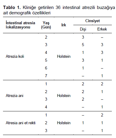 Table 1