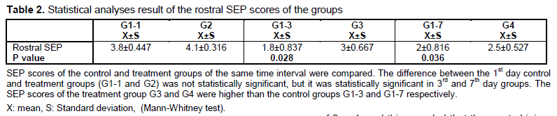 Table 2