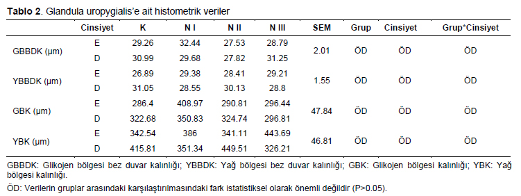 Table 2