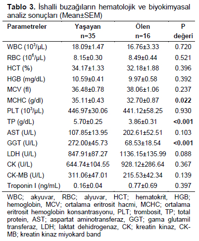 Table 3
