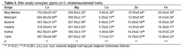 Table 3