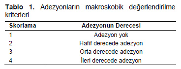 Table 1
