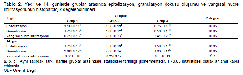 Table 2