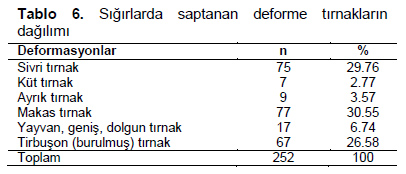 Table 6