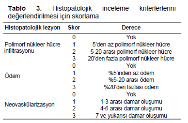 Table 3