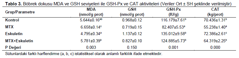 Table 3