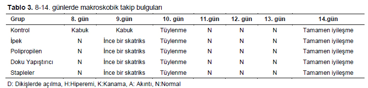 Table 3