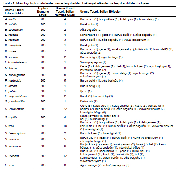 Table 1