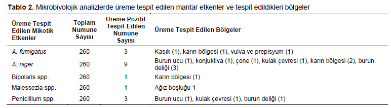 Table 2