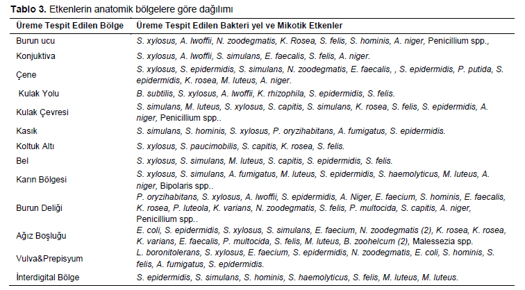 Table 3