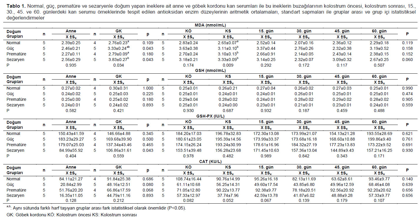 Table 1