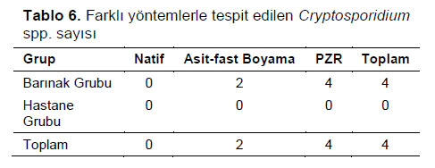 Table 6