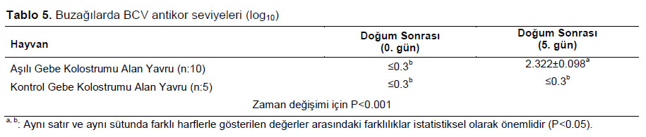 Table 5