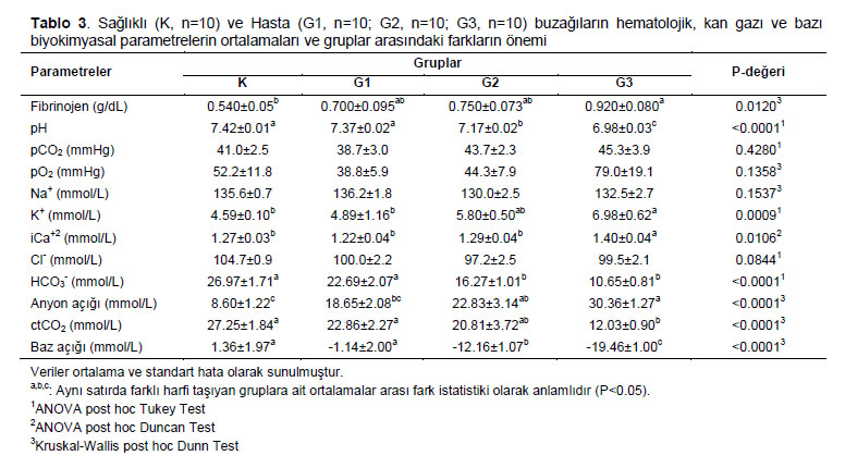 Table 3
