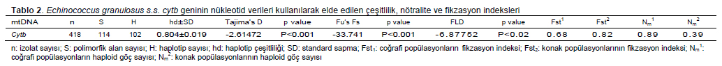 Table 5