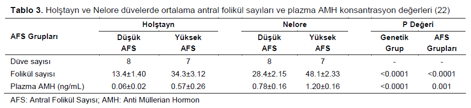 Table 3