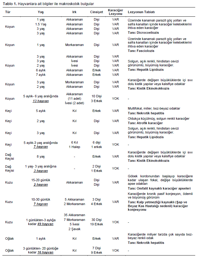 Table 1