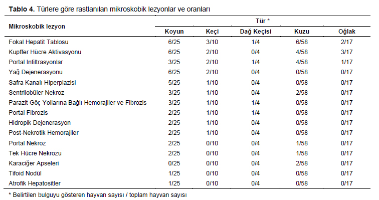 Table 4