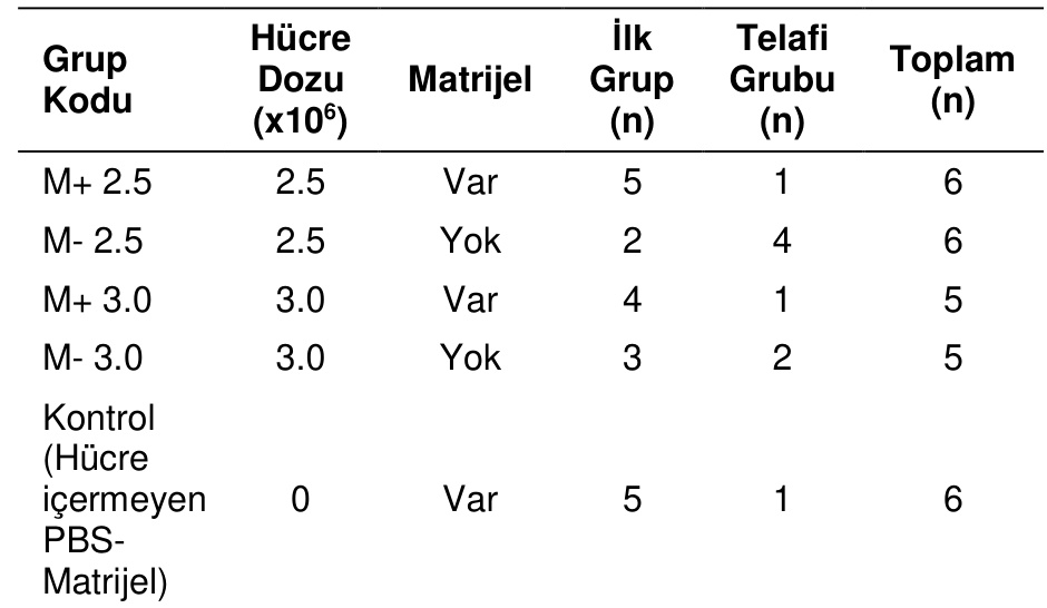 Table 1